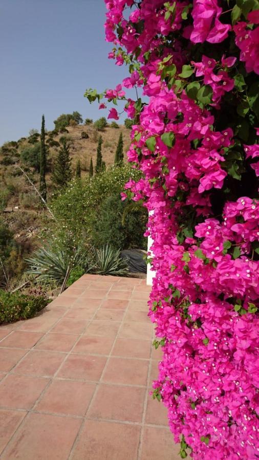 Cortijo Las Palmeras El Chorro Alora Exteriör bild